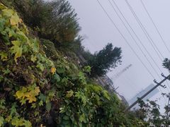 -合肥美奥口腔·种植矫正中心(政务院)