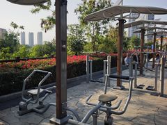 -金鸡岭桥头公园