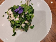 -北京老铺烤鸭(高新店)