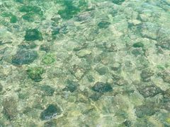 -三亚西岛海洋文化旅游区