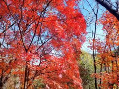 -玉渡山自然风景区