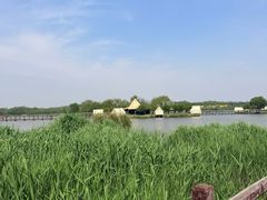 -西青郊野公园