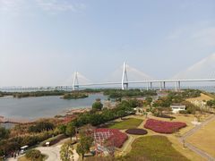 -芒洲湿地公园