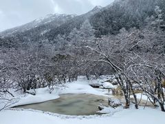 -黄龙山原始森林景区