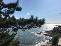 -养马岛旅游度假区