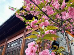 -西安大兴善寺