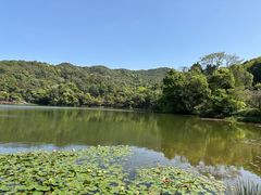 -广州市石门国家森林公园