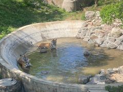 -石家庄市动物园