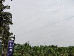 -重庆海昌加勒比海水世界