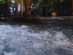 -麦积山温泉