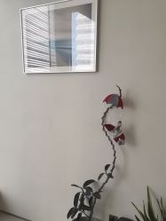 -VIM Hair Salon