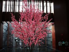 大堂-苏州香山国际大酒店