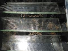 -狼牙山风景区