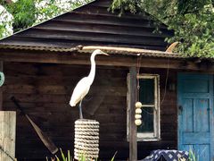 -费瑟代尔野生动物园