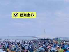 -碧海金沙