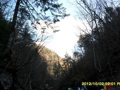 -凤凰山国家森林公园