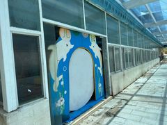 -放鸡岛生态旅游国际度假区