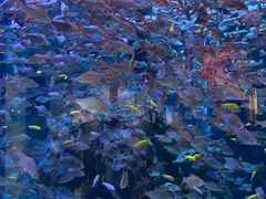 -成都浩海立方海洋公园