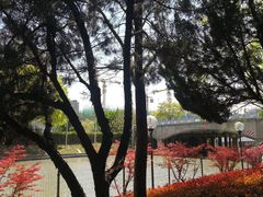-嘉定紫藤园