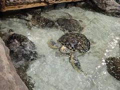 -杭州海底世界