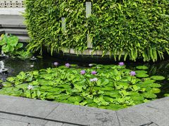 -广州白天鹅宾馆