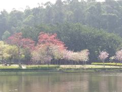 -南国桃园旅游度假区