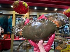 -喜记避风塘炒辣蟹(旗舰店)