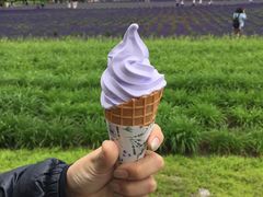 -富田农场