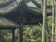 -上海佘山国家森林公园天马山园