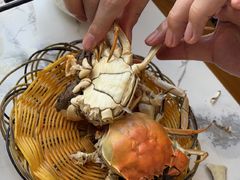 -蟹天蟹地农家菜·阳澄湖大闸蟹(浅水湾店)