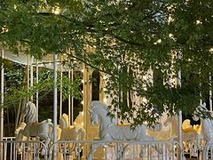 -J Create城市露营咖啡·简餐·宠物(上海动物园店)