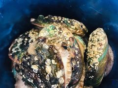 -澜悦港海鲜体验主题餐厅