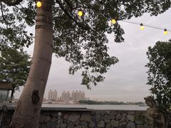 -喜洲吧·江畔老船厂·庭院餐厅(喜临院店)
