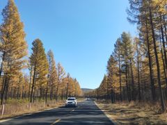 -塞罕坝国家级自然保护区