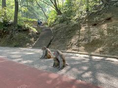 -黔灵山公园