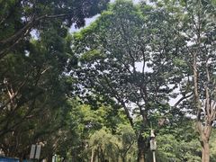 -晓港公园