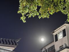 -囿面传统制面馆(中央路店)