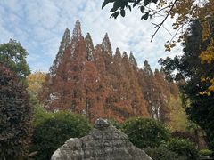 -东坡赤壁风景名胜区