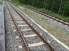 -莫尔道嘎国家森林公园