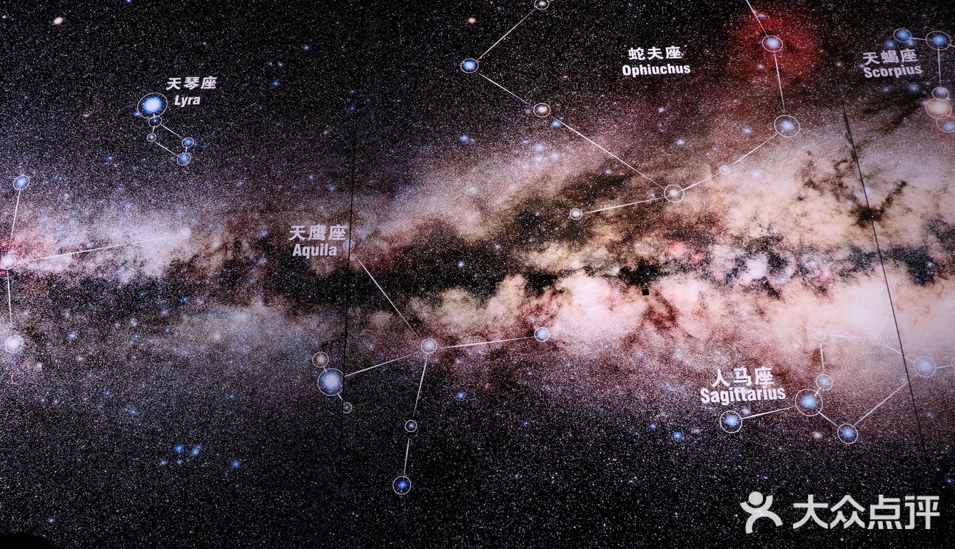 太梦幻太好看了吧！滨海出游bì逛～
