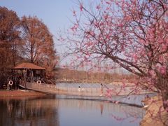 -上海辰山植物园
