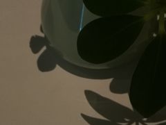 -银川凯宾斯基饭店柏林咖啡厅·Café Berlin