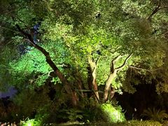 -上海虹桥祥源希尔顿酒店