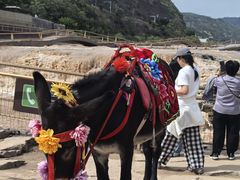 -陕西黄河壶口瀑布旅游区