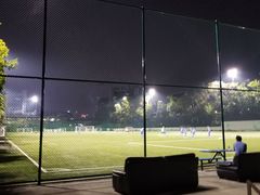 -深圳市体育中心体育馆主馆
