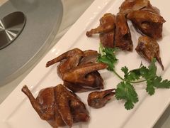 -粤江春·早茶·潮粤菜·宴会(罗湖宝能中心店)