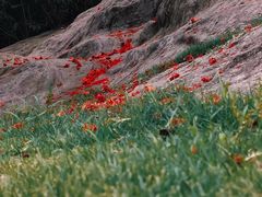 -南山风景名胜区