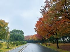 -南京市江宁方山