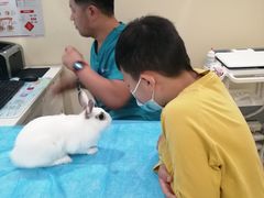 -美迦爱-牙专科·兔科·骨科诊疗中心(北苑店)