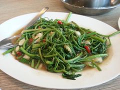 含羞草-建兴酒家(萨木亚店)